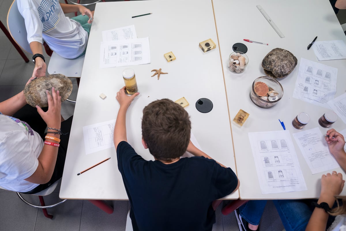 ¿Influye la dirección de los centros en la mejora de los logros escolares? | Educación