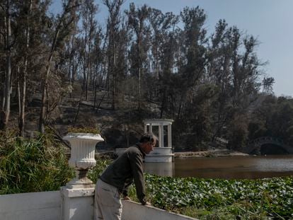 Un hombre en el Jardín Botánico de Viña del Mar, este lunes, tras los incendios que asolaron la ciudad el fin de semana.