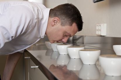El campeón del mundo de los cafés de 2004, Tim Wendelboe, analiza el aroma de diferentes tazas.