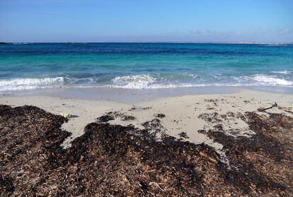 Una playa de Mallorca en una imagen de archivo.
