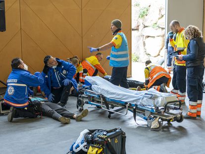 Las emergencias sanitarias de España, Francia y Andorra, durante la simulación.