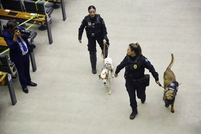 Dos policías recorren el Congreso de Brasil acompañadas de perros para detectar materiales explosivos, horas antes de la toma de posesión. 