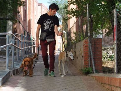 Giovanni Carbone pasea a su perro y a Battiata por el barrio de La Elipa.