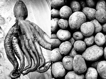 Socías explica que estas imágenes las tomó en Galicia. Son un pulpo y unas patatas, "el mar y la tierra", dice. La textura de los tubérculos hacen dudar de si son piedras o no.