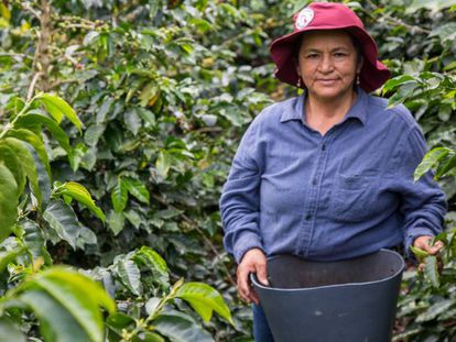 Caficultora colombiana del departamento del Cauca.