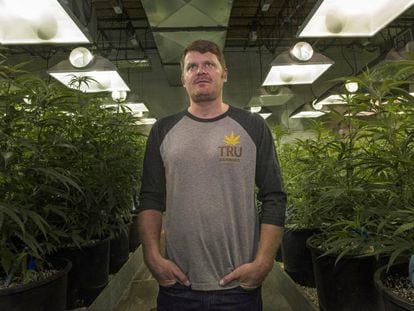 Floyd Landis, exciclista productor legal de marihuana y del 'podcast' 'Straight Dope'.