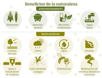Beneficios de la Naturaleza