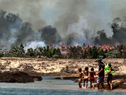 Quema de terrenos en el r&iacute;o Xing&uacute; (Brasil) para levantar la presa Belo Monte.