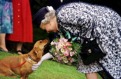 La Reina Isabel II de Inglaterra saluda a uno de sus perros, el 21 de julio de 1999.