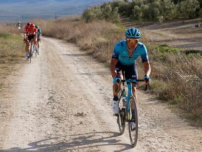 Lutsenko, al ataque en la grava entre los olivos de Úbeda. Wellens queda distanciado.