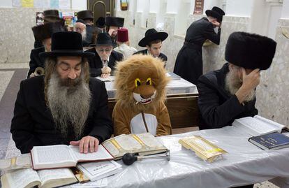 La comunidad judía celebra la festividad de Purim, que recuerda la salvación del pueblo hebreo ante su inminente aniquilación en Babilonia. En la imagen, judíos ultraortodoxos junto a un niño disfrazado de oso durante la lectura del libro de Ester en la ciudad de Bnei Brak (Israel).