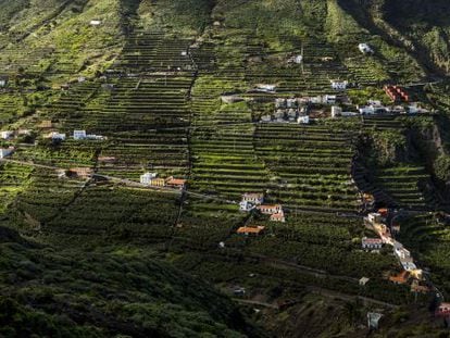 Panorámica de Valle Bajo en el municipio de Hermigua, en La Gomera.