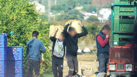 Algunas de las personas que eran explotadas en Onda (Castellón) trabajando en el campo.