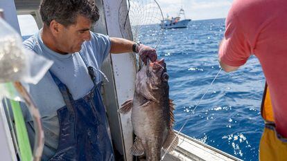 Manuel Ligero, patrón del barco de pesca ‘El Millonario’, sacando parte de la captura obtenida en aguas de Marruecos.