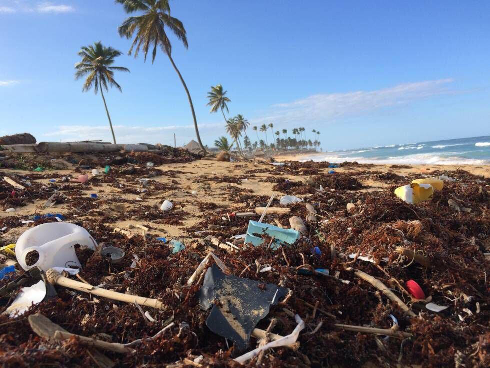 Según un informe de LIBERA, el 29,46% de la basura recogida en las playas durante sus campañas son colillas.