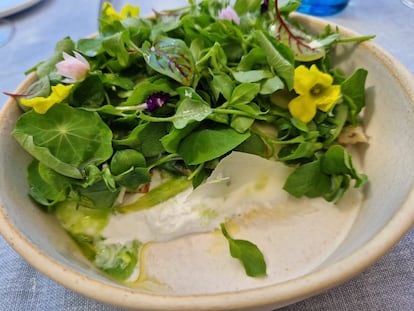 Van imparables. Primero soñaron con convertir a su pueblo, Casas Ibáñez (Albacete), en un destino gastronómico. Lo consiguieron el año pasado, cuando recibieron en Madrid Fusión el espaldarazo que necesitaban: el premio al cocinero revelación del año por su trabajo en Cañitas Maite, el de la mejor croqueta y el del mejor escabeche.