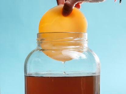 Si nos remitimos a la receta base, la kombucha solo debe contener cuatro ingredientes: té, azúcar, agua y una colonia simbiótica, conocida como scoby por sus siglas en inglés (Symbiotic Culture of Bacteria and Yeast).