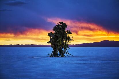 'Flor de sal' de Makoto Azuma, en las Salinas Grandes, provincia de Jujuy.