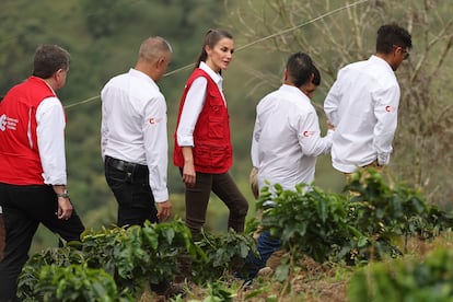 La finca cafetera está gestionada por exguerrilleros de las FARC que han optado por el café como modo de reinserción. 
