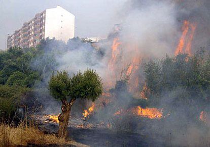 El fuego amenazaba ayer la ciudad de Abrantes, en el centro de Portugal.