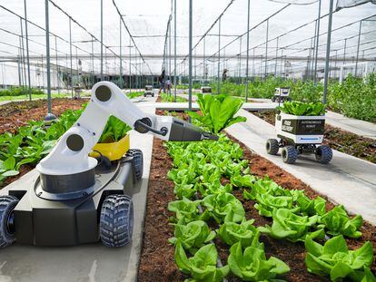 Coches y robots autónomos trabajan en una granja inteligente.