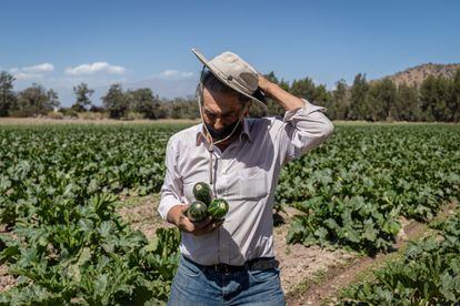 Don Jaime es agricultor y dona a la Fundación Hogar Niño Jesús las frutas y verduras que son aptas para el consumo, pero no para su venta en supermercados. “Con todo lo que se pierde, comería un país entero. El 40 % de lo que se produce en Chile, se desperdicia”, asegura.