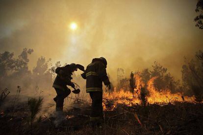 Bomberos luchan contra el fuego en la localidad de Concepción, Chile.