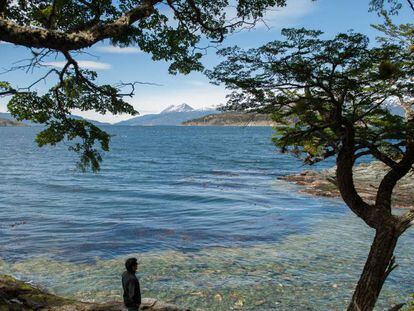Imagen del Parque Nacional Tierra del Fuego, en la Patagonia argentina.