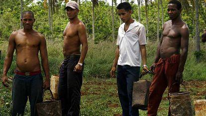 Trabajadores del campo se toman un descanso tras cargar tomates en un tractor en Guira de Melena, a 50 kilómetros de La Habana.