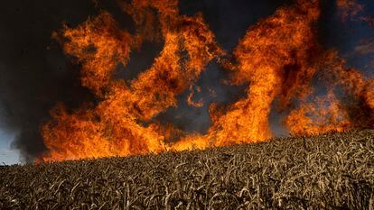 Un campo de trigo en llamas tras un bombardeo a pocos kilómetros de la región de Járkov, en julio de 2022.