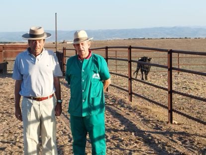 El ganadero Antonio Miura, a la izquierda, el veterinario Juan Miguel Mejías y 'Guineo' al fondo.