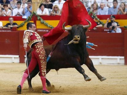 Manzanares da un pase a su primer toro