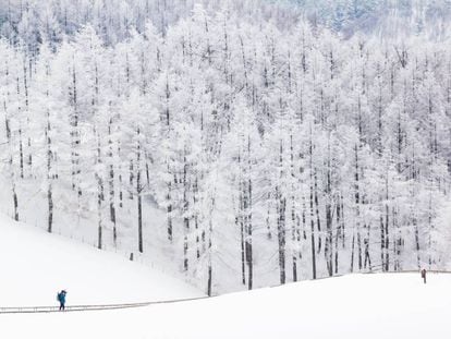 Paisaje nevado en Pyeongchang, en Corea del Sur, que acogerá los próximos Juegos Olímpicos de invierno 2018.