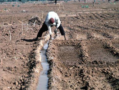 Níger está entre los tres países que ha crecido menos debido al calentamiento global. 