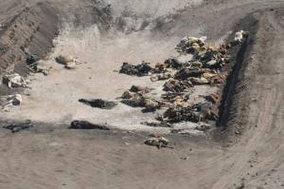 Vista de una fosa donde los ganaderos llevan sus reses muertas a causa de la falta de agua y alimento por las intensas sequías en el municipio de Santa Clara (México). EFE/Archivo
