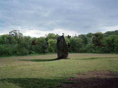 La imagen de un monolito original de Wiltshire (Reino Unido) se superpone con una fotografía de un bosque de Saint-Nicolas-du-Pélem, 
en la región de Bretaña (Francia). La mayoría 
de los paisajes de este fotoensayo son resultado de la superposición de negativos.