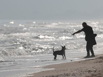 Un hombre pasea a su perro en la playa de El Saler (Valencia) el pasado martes.