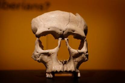 El cráneo ritual íbero hallado en Olèrdola.
