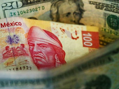 Pesos mexicanos y d&oacute;lares estadounidenses