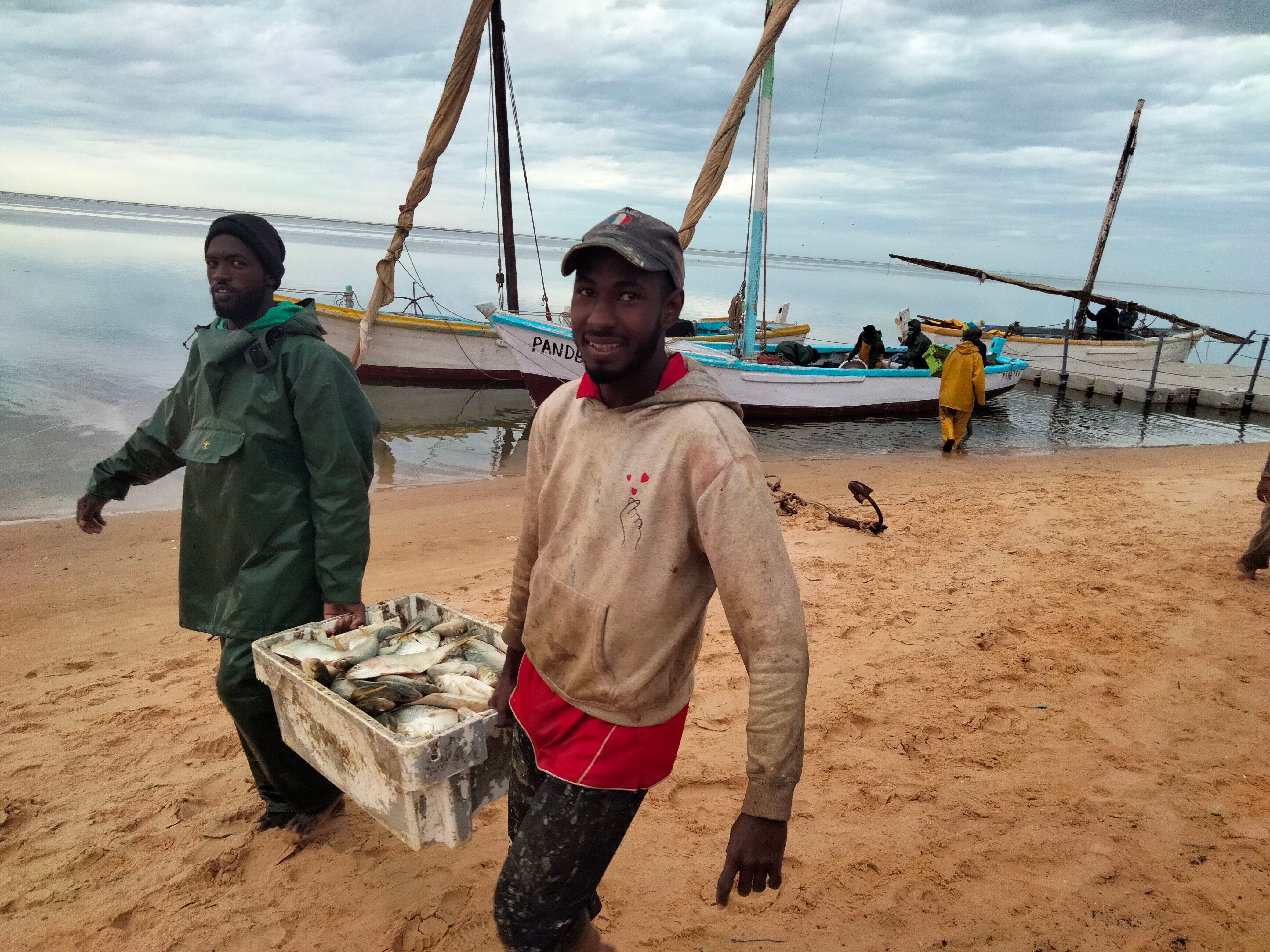 Dos pescadores descargan sus capturas en R'gueiba, en el norte de Mauritania.