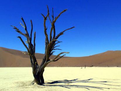 ¿Es este el desierto más bello del planeta?