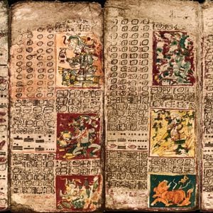 Considerado el texto más antiguo de América se trata de un 'libro' escrito por los mayas de Chichen Itzá. Exhibido en Alemania, el códice llegó originalmente a España en 1519 enviado por Hernán Cortes al Rey. Desde España viajó a Austria y en 1739, Johann Christian Götze, director de la Biblioteca Real de Dresde se lo compró a un propietario privado de Viena. Durante la II Guerra Mundial, la biblioteca donde se guardaba el códice fue alcanzada por los bombardeos y el códice sufrió daños importantes por el agua, pero fue meticulosamente restaurado. El códice fue fundamental para interpretar la fonética maya descifrada por Yuri Knorozov en los años 50, en base al imperfecto alfabeto de Diego de Landa alrededor de 1566.