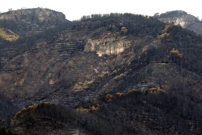 Zonas arrasadas por el fuego en Les Penyes Altes, en Artana.