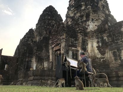 British musician Paul Barton plays the piano for monkeys that occupy abandoned historical areas in Lopburi, Thailand November 21 2020. Picture taken November 21, 2020. REUTERS/Prapan Chankaew