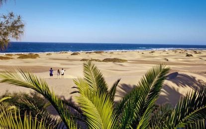 Las dunas de Maspalomas, al sur de la isla de Gran Canaria.