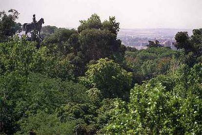 Copas de los árboles del parque del Retiro, con el monumento de Alfonso XI al fondo.