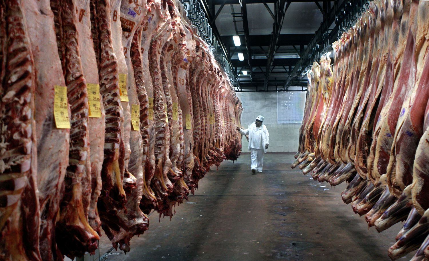 Un inspector supervisa carne de res en una planta frigorífica bonaerense, el pasado mes de julio.