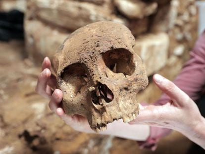 Un cráneo recuperado de la cámara funeraria localizada en la zona arqueológica de Palenque, en el Estado de Chiapas (México)