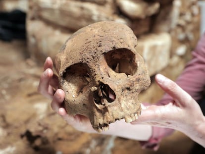 Un cráneo recuperado de la cámara funeraria localizada en la zona arqueológica de Palenque, en el Estado de Chiapas (México)