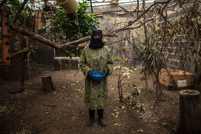 Una veterinaria se camufla para la última fase de liberación animal, a mediados de agosto de 2018. Las especies no deben tener contacto humano antes de ser liberadas.